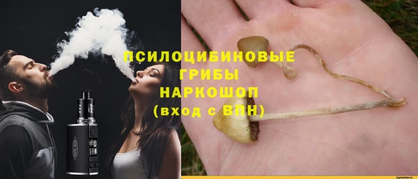 экстази Арсеньев