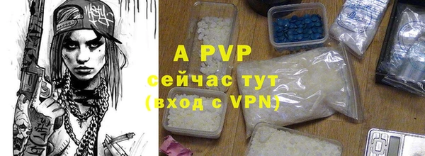 спиды Аркадак