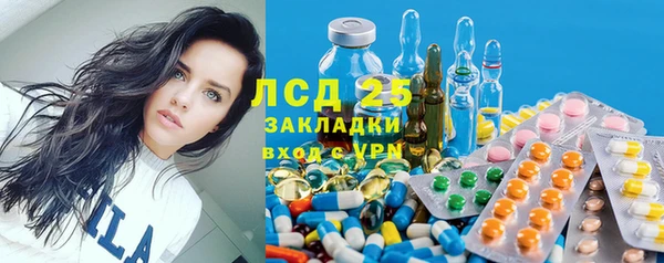 спиды Аркадак