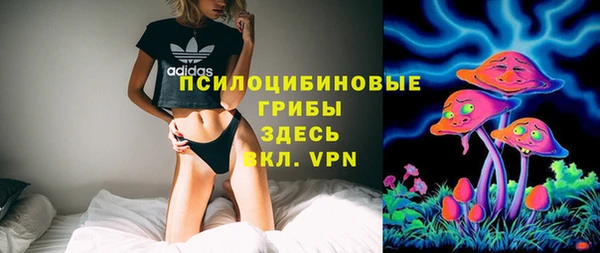 экстази Арсеньев