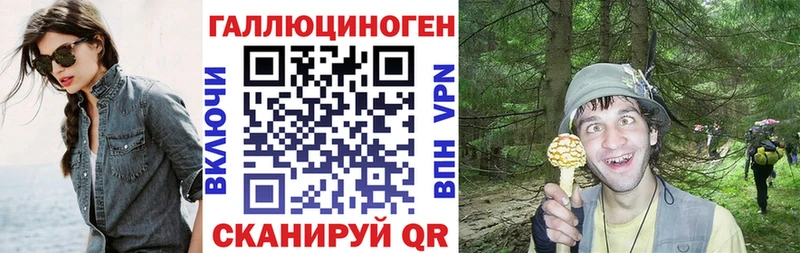 Купить где  Аргун  Псилоцибиновые грибы Psilocybe 
